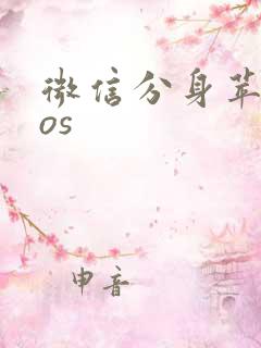 微信分身苹果ios