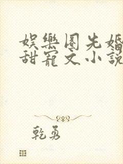 娱乐圈先婚后爱甜宠文小说