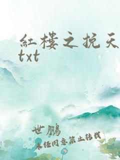 红楼之挽天倾.txt
