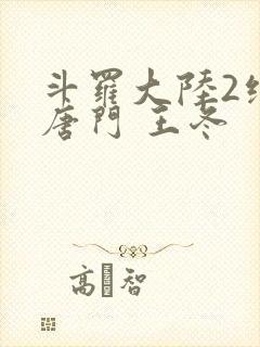 斗罗大陆2绝世唐门 王冬