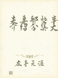夫妻那些事剧情介绍分集大结局