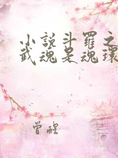 小说斗罗之我的武魂是魂环txt