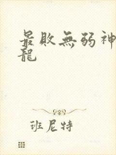 最败无弱神装机龙