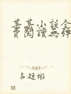 某某小说全文免费阅读无弹窗