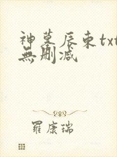 神墓辰东txt无删减