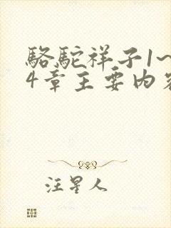 骆驼祥子1~24章主要内容