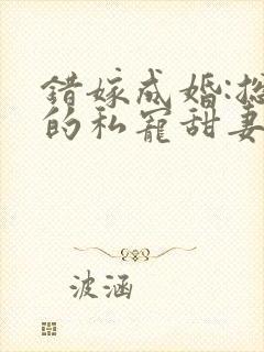 错嫁成婚:总裁的私宠甜妻