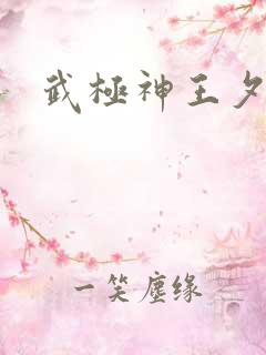 武极神王夕岚