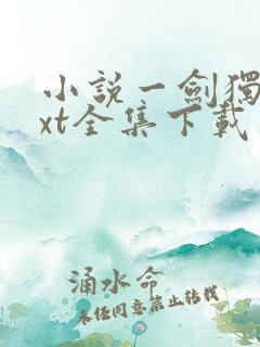 小说一剑独尊txt全集下载