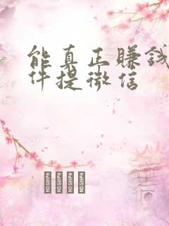 能真正赚钱的软件提微信