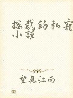总裁的私宠甜妻小说