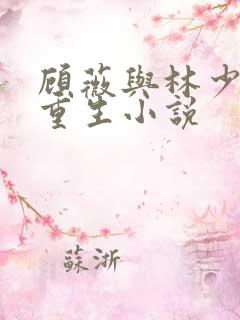 顾薇与林少琛的重生小说