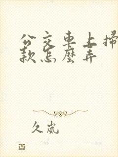 公交车上扫码付款怎么弄