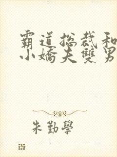霸道总裁和他的小娇夫双男主