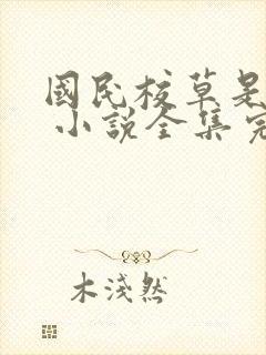 国民校草是女生 小说全集完整版txt