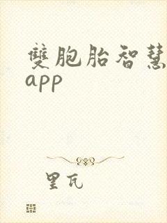 双胞胎智慧物流app