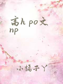 高h po文 np