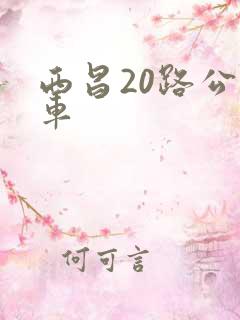西昌20路公交车