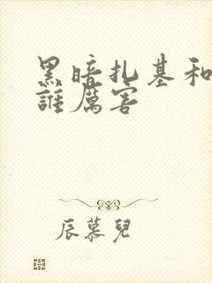 黑暗扎基和赛罗谁厉害