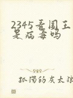 2345看图王是病毒吗