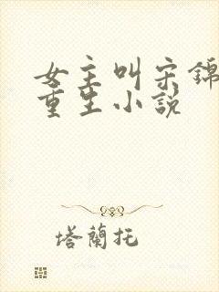 女主叫宋锦瑜的重生小说