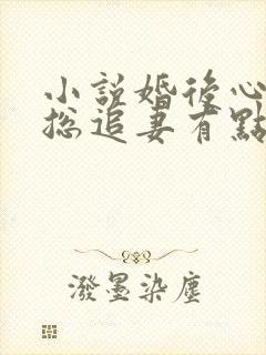 小说婚后心动凌总追妻有点甜全文阅读