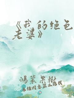 《我的绝色总裁老婆》