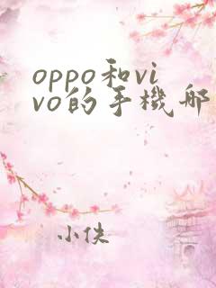 oppo和vivo的手机哪个好