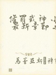 修罗武神 小说 最新章节 无弹窗