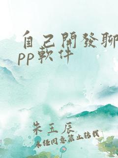 自己开发聊天app软件