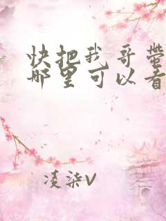 快把我哥带走在哪里可以看