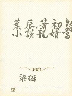 叶辰,萧初然的小说龙婿当道