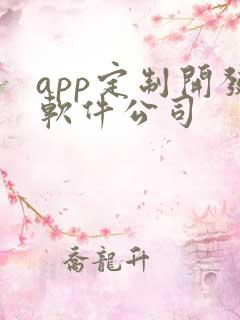 app定制开发软件公司