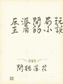 反派开局玩遍女主角的小说叫什么