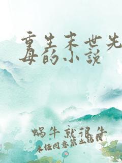重生末世先杀圣母的小说