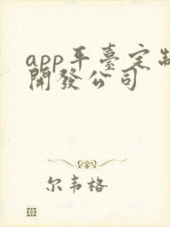 app平台定制开发公司
