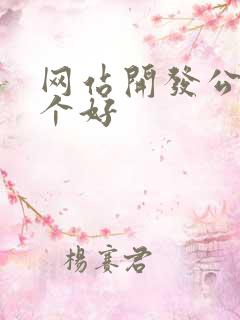 网站开发公司哪个好