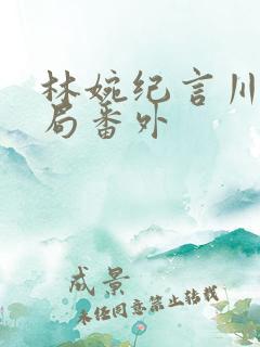 林婉纪言川大结局番外