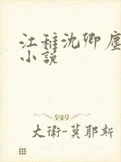 江稚沈卿尘免费小说