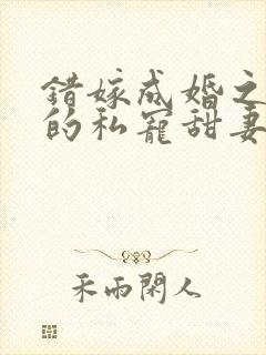 错嫁成婚之总裁的私宠甜妻
