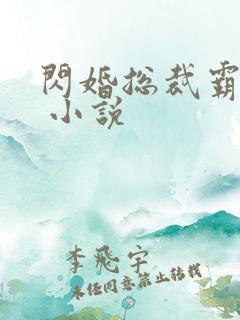 闪婚总裁霸道宠 小说
