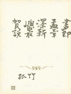 贺屿泽孟书涵小说最新章节免费阅读