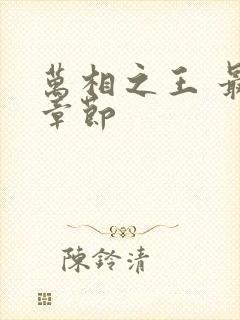 万相之王 最新章节