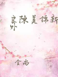 良陈美锦新增番外