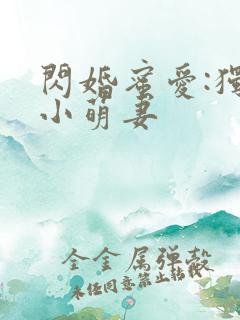 闪婚蜜爱:独宠小萌妻