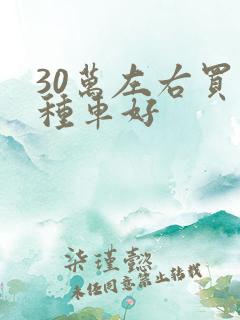 30万左右买哪种车好