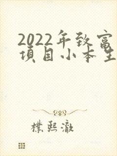 2022年致富项目小本生意
