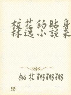 校花的贴身高手林逸小说未删版全文