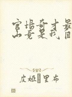 官场奇才最强靠山竟是我自己李澜小说什么