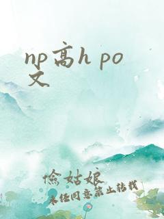 np高h po文